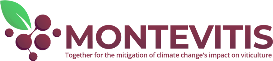 MonteVitis Logo